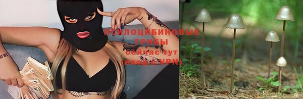 эйфоретик Армянск