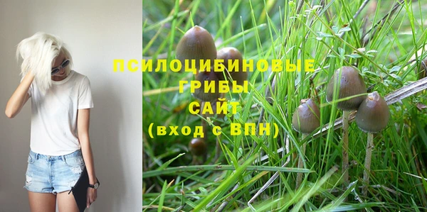 шишки Алексеевка