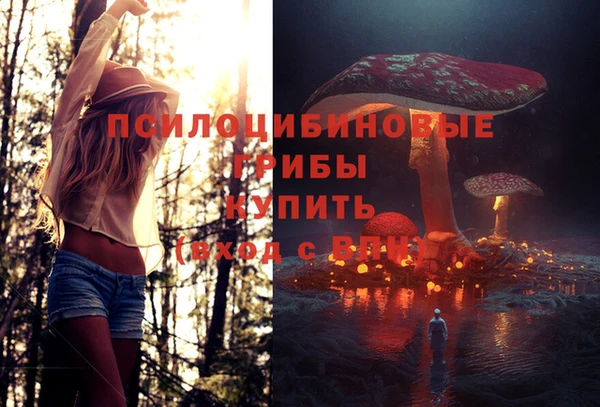 эйфоретик Армянск